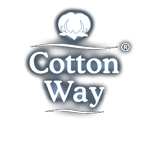 Cotton Way IT аутсорсинг инфраструктуры Cotton Way